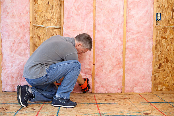 Best Insulation Installation Services in Waverly, IA